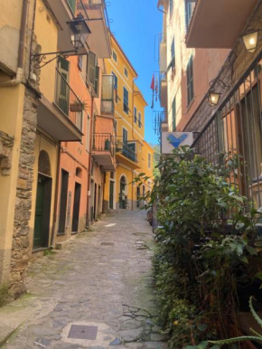 Grazioso appartamento a Monterosso